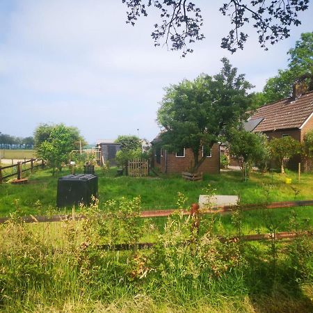 Trekkershut - Tiny House - Hikers Cottage Wijster Exterior foto