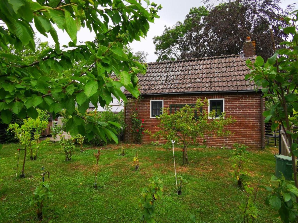 Trekkershut - Tiny House - Hikers Cottage Wijster Exterior foto