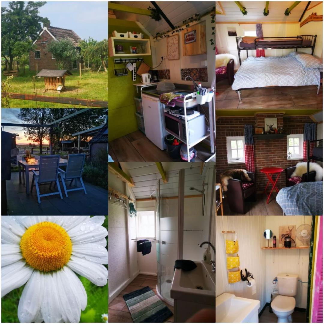Trekkershut - Tiny House - Hikers Cottage Wijster Exterior foto